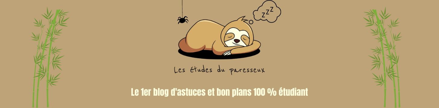 Les études du paresseux bannière